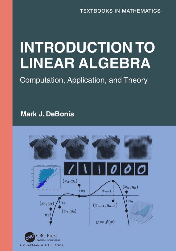 Introduction To Linear Algebra Computation, Application, and Theory 1e 1st Edition